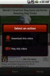 YouTube Downloader -   YouTube